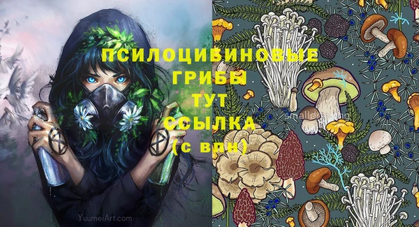 прущие грибы Балахна
