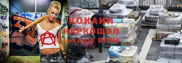 прущие грибы Балахна