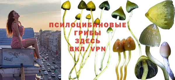 прущие грибы Балахна