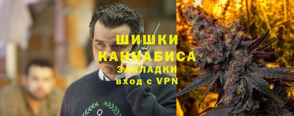 прущие грибы Балахна