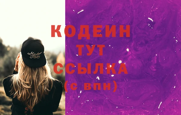 прущие грибы Балахна