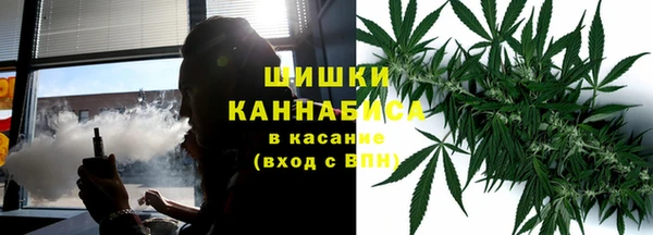 прущие грибы Балахна