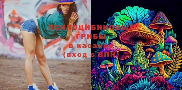 прущие грибы Балахна